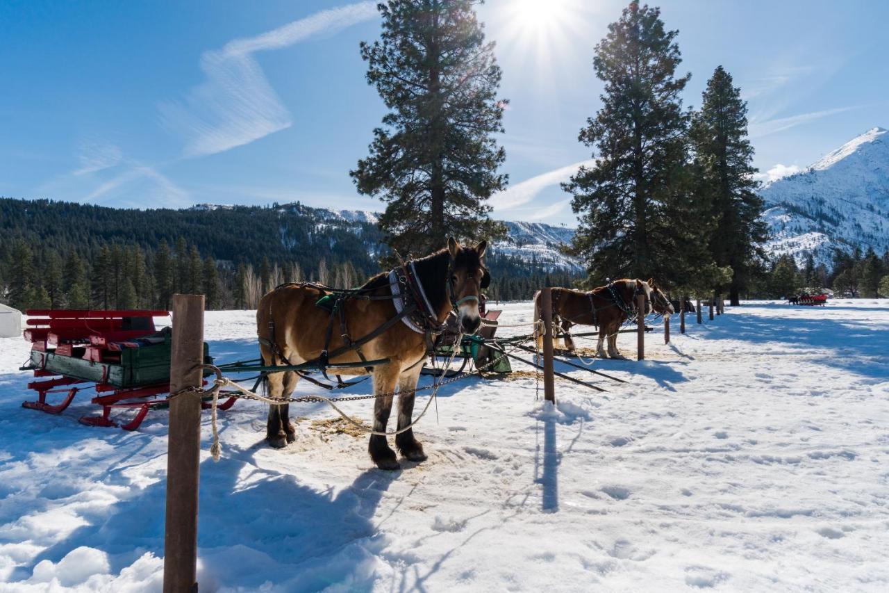 Willa Icicle Road Haus Leavenworth Zewnętrze zdjęcie